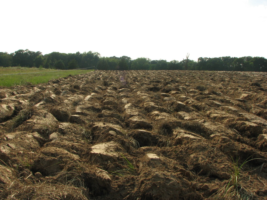 Our tilled field, not yet prepared for planting.