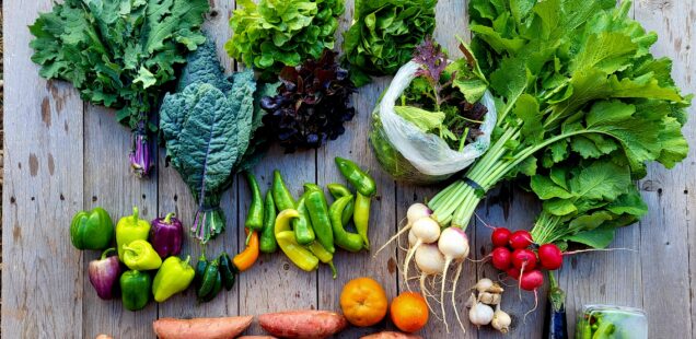 Share Notes Oct 30, 2025