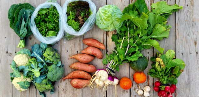 Share Notes- Nov. 20, 2025