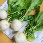All About Hakurei Turnips